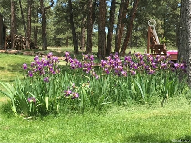 5030 Cedar Way, Elizabeth, CO 80107 - view of yard