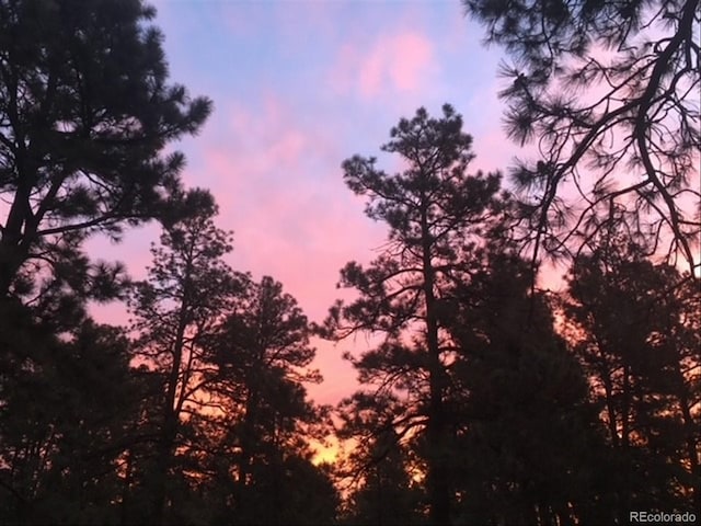 5030 Cedar Way, Elizabeth, CO 80107 - view of local wilderness