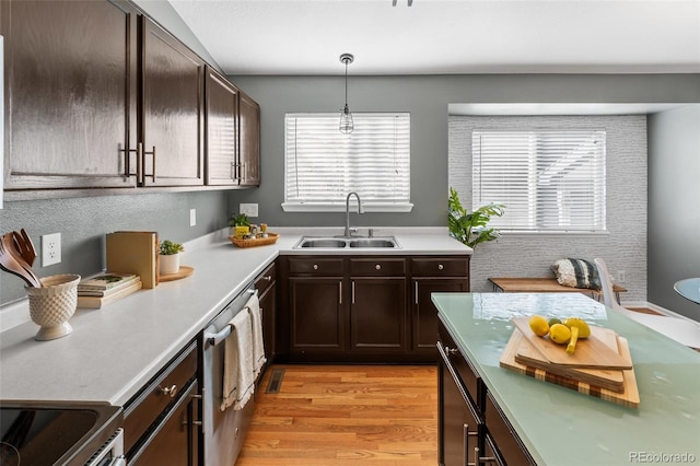 kitchen with light wood-style flooring, stainless steel appliances, a sink, dark brown cabinets, and light countertops