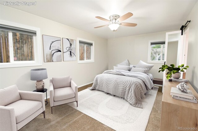 2815 Hayman Ter, Colorado Springs, CO 80910 - photo 10
