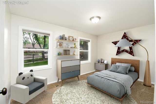 2815 Hayman Ter, Colorado Springs, CO 80910 - photo 15