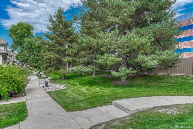 8943 Tappy Toorie Cir, Highlands Ranch, CO 80129 - view of yard