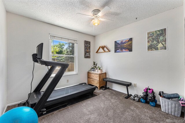 6436 S Kline St, Littleton, CO 80127 - photo 29