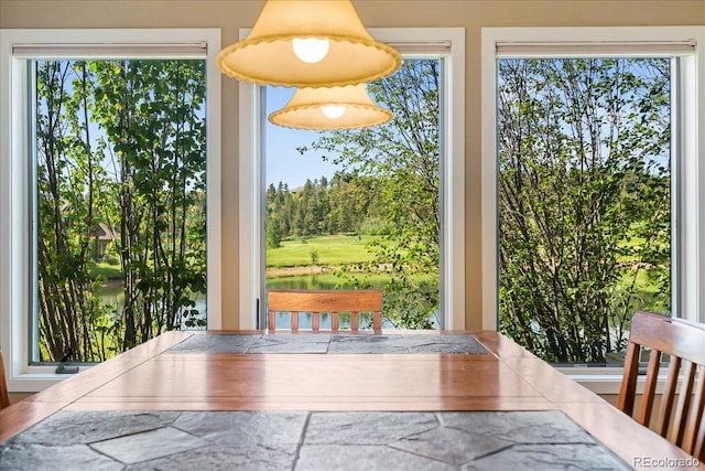 378 Fox Acres Dr W, Red Feather Lakes, CO 80545 - dining space with a water view and healthy amount of natural light