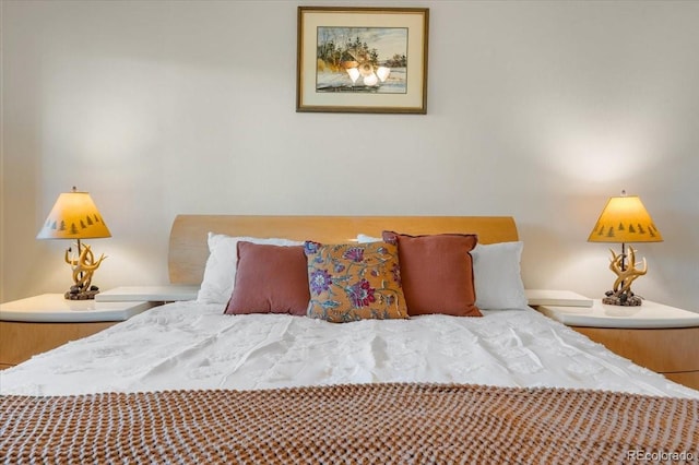 378 Fox Acres Dr W, Red Feather Lakes, CO 80545 - view of bedroom