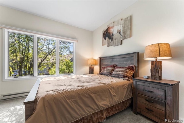 378 Fox Acres Dr W, Red Feather Lakes, CO 80545 - carpeted bedroom with a baseboard heating unit