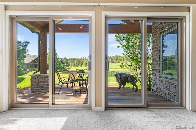 378 Fox Acres Dr W, Red Feather Lakes, CO 80545 - doorway to outside with carpet flooring and healthy amount of natural light