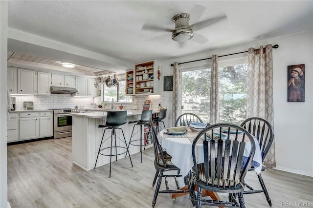 dining room featuring a wealth of natural light, ceiling fan, and light hardwood / wood-style flooring