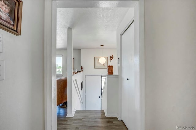 hallway with wood-type flooring and a textured ceiling