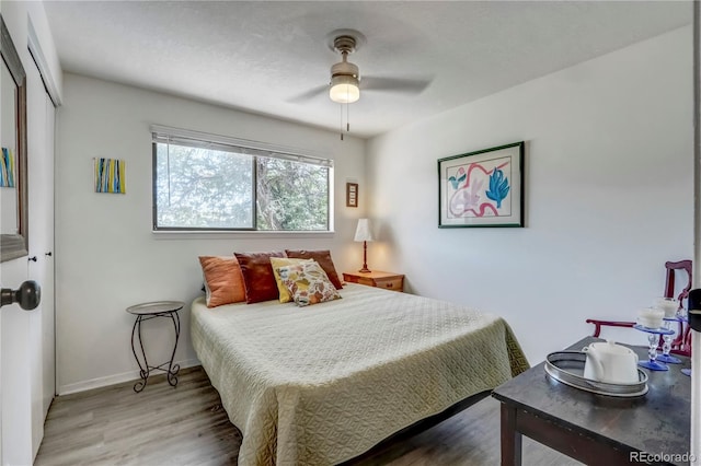 bedroom featuring hardwood / wood-style floors, a closet, and ceiling fan