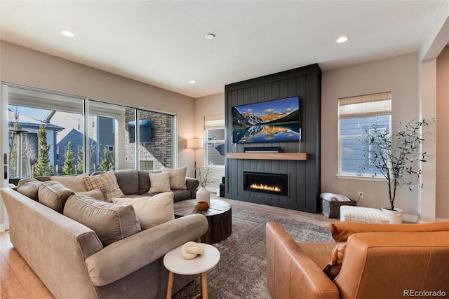 living room featuring a large fireplace and wood-type flooring