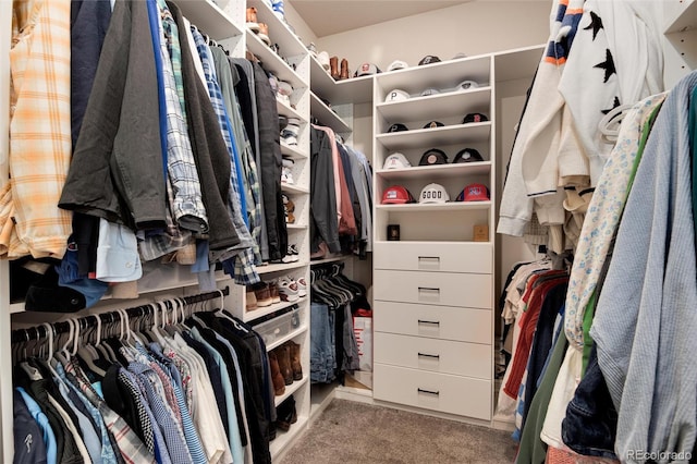 spacious closet featuring light carpet