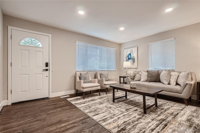 living room featuring dark hardwood / wood-style flooring