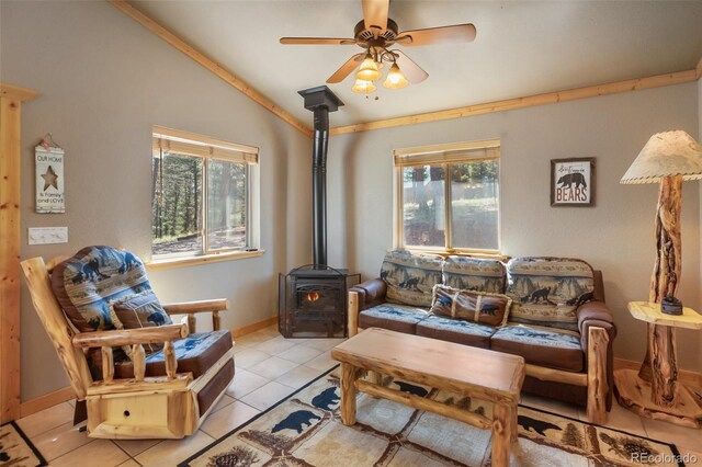 31 Handcart Cir, Florissant, CO 80816 - photo 4