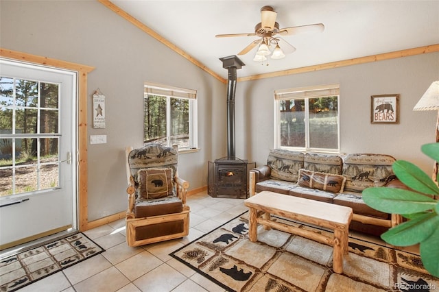 31 Handcart Cir, Florissant, CO 80816 - photo 6