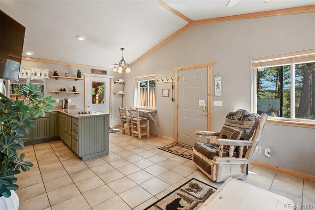 31 Handcart Cir, Florissant, CO 80816 - photo 8