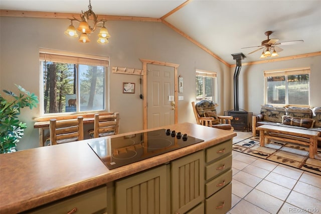 31 Handcart Cir, Florissant, CO 80816 - photo 15