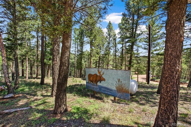 31 Handcart Cir, Florissant, CO 80816 - photo 29