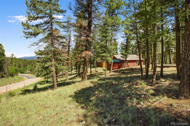 31 Handcart Cir, Florissant, CO 80816 - photo 32