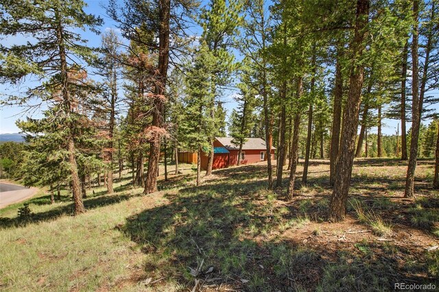 31 Handcart Cir, Florissant, CO 80816 - photo 36