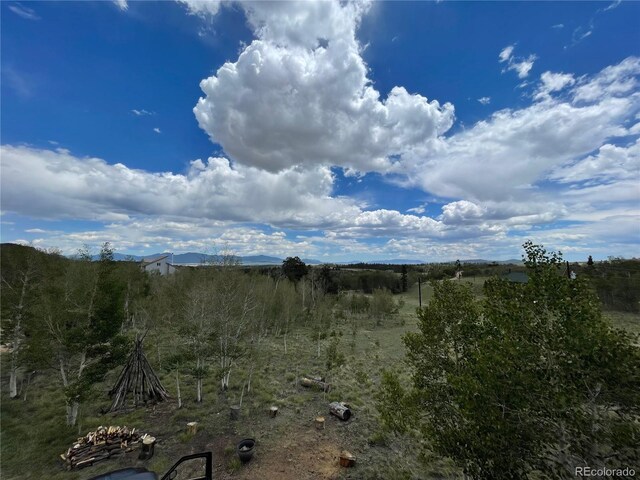 69 Noxibee Ct, Como, CO 80432 - view of undeveloped land