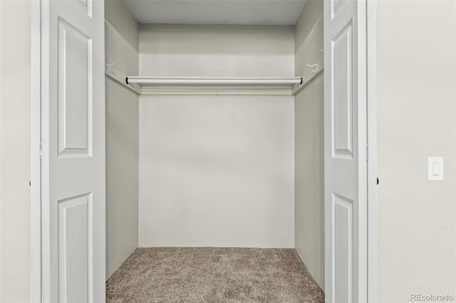 spacious closet featuring carpet flooring