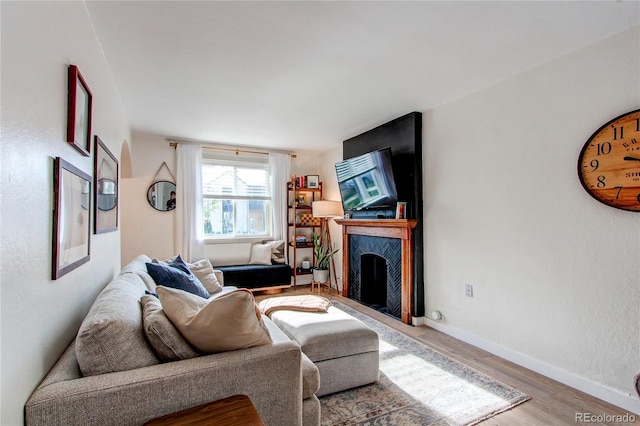 living area featuring baseboards, wood finished floors, and a fireplace