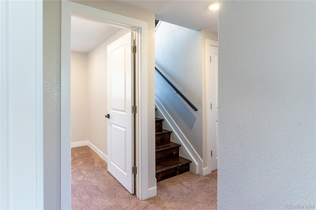 9410 Perry St, Westminster, CO 80031 - staircase with carpet flooring and a textured wall