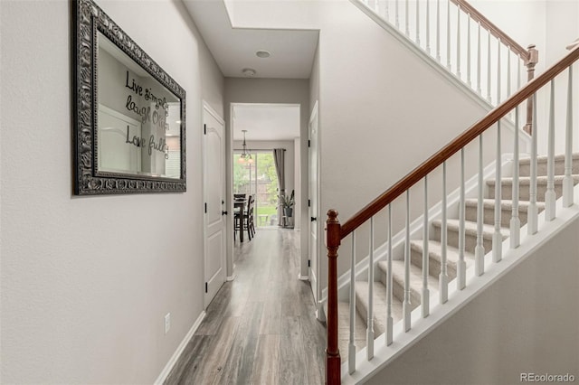 11725 Helena St, Commerce City, CO 80022 - photo 5