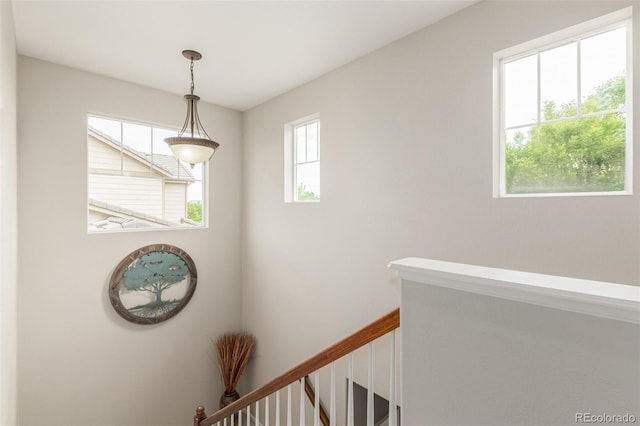 11725 Helena St, Commerce City, CO 80022 - photo 6
