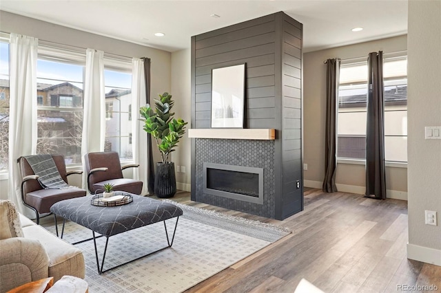 living room featuring light hardwood / wood-style floors