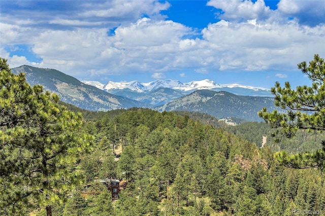 1007 Nob Hill Rd, Evergreen, CO 80439 - mountain view with a forest