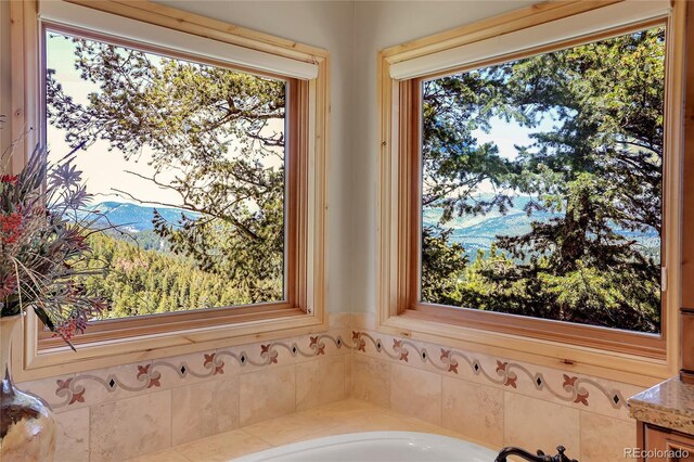 1007 Nob Hill Rd, Evergreen, CO 80439 - bathroom featuring a garden tub