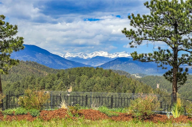 1007 Nob Hill Rd, Evergreen, CO 80439 - view of mountain backdrop featuring a forest