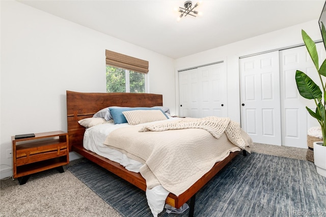 4800 S Tabor St, Morrison, CO 80465 - bedroom with two closets and carpet