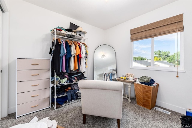4800 S Tabor St, Morrison, CO 80465 - spacious closet with carpet floors