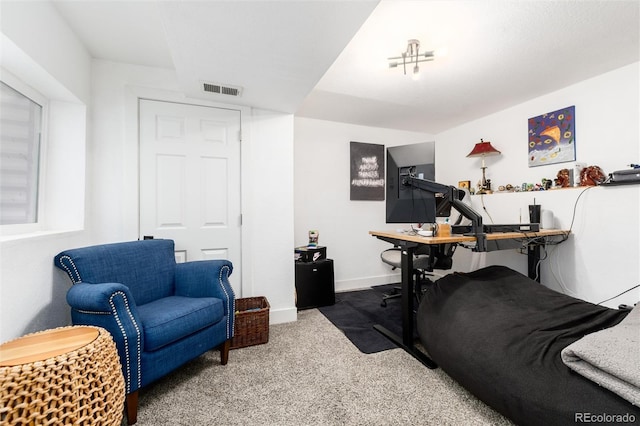 4800 S Tabor St, Morrison, CO 80465 - workout room featuring carpet and baseboards
