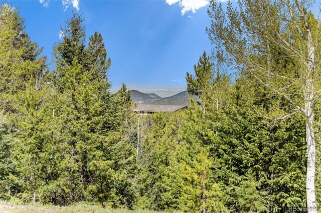 9185 Jill Dr, Conifer, CO 80433 - view of mountain background
