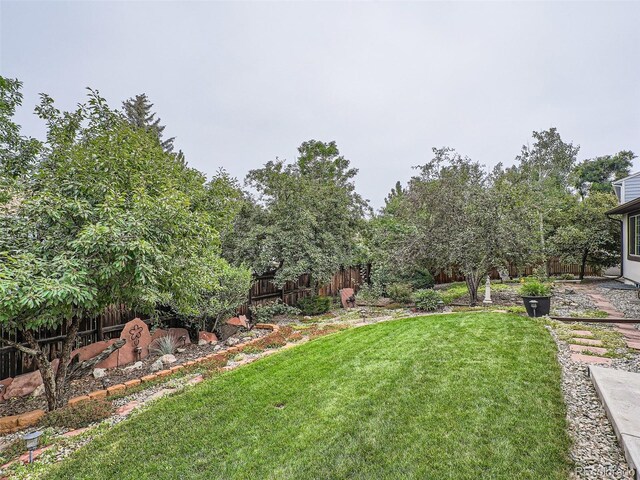 3265 W 11th Avenue Ct, Broomfield, CO 80020 - view of yard