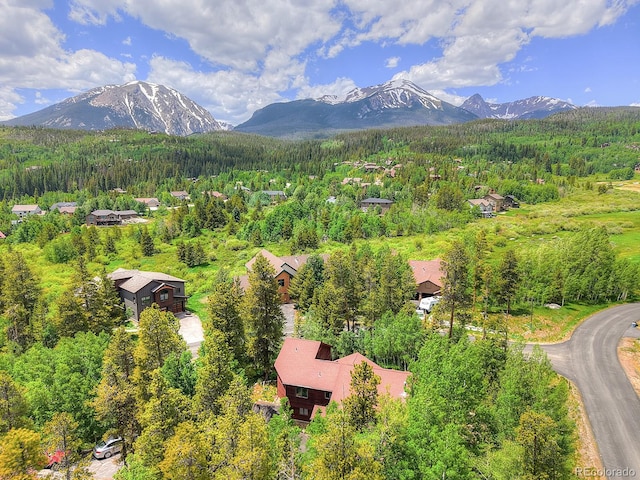 1690 Falcon Cir, Silverthorne, CO 80498 - photo 1