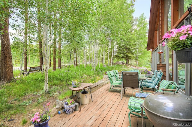 1690 Falcon Cir, Silverthorne, CO 80498 - photo 40