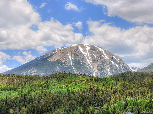 1690 Falcon Cir, Silverthorne, CO 80498 - photo 47