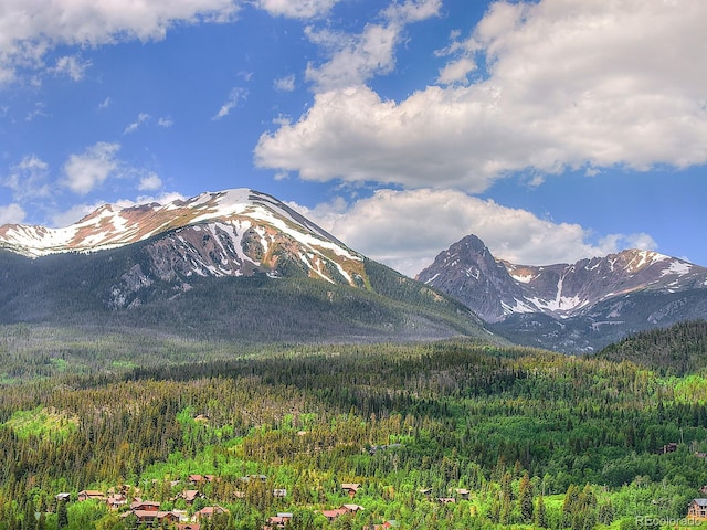 1690 Falcon Cir, Silverthorne, CO 80498 - photo 48