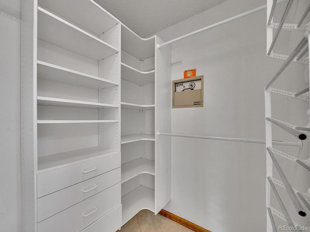 12658 W 1st Pl Unit 78, Denver, CO 80228 - view of spacious closet