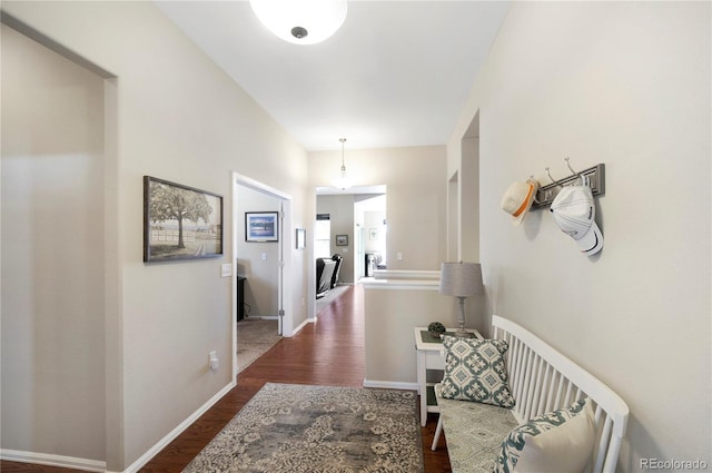 1210 Muskox St, Severance, CO 80550 - hall with dark wood finished floors and baseboards