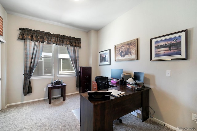 1210 Muskox St, Severance, CO 80550 - carpeted office space with baseboards