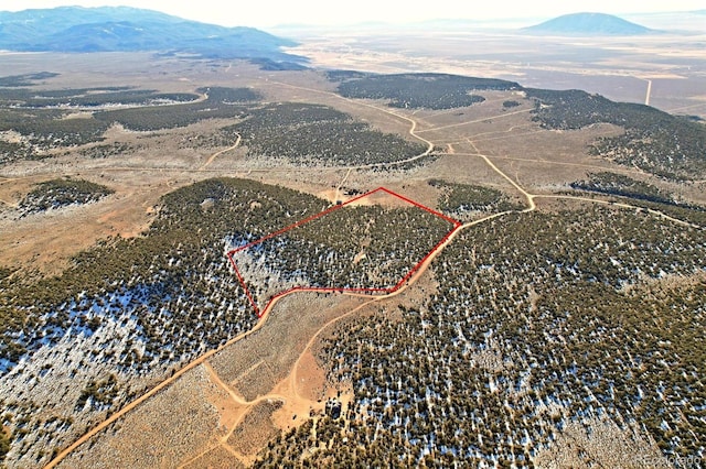 Eagle Nest Rd, San Luis CO, 81152 land for sale