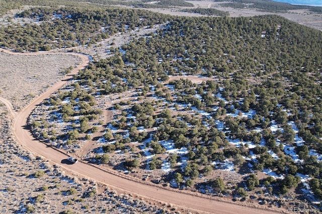 Eagle Nest Rd, San Luis, CO 81152 - photo 5
