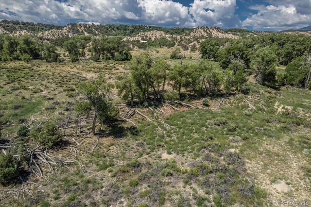 000 County Road 165, Salida, CO 81201 - photo 11