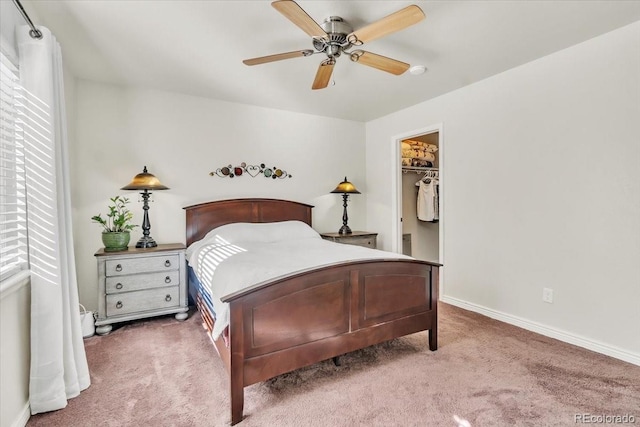 carpeted bedroom featuring ceiling fan, a closet, and a walk in closet